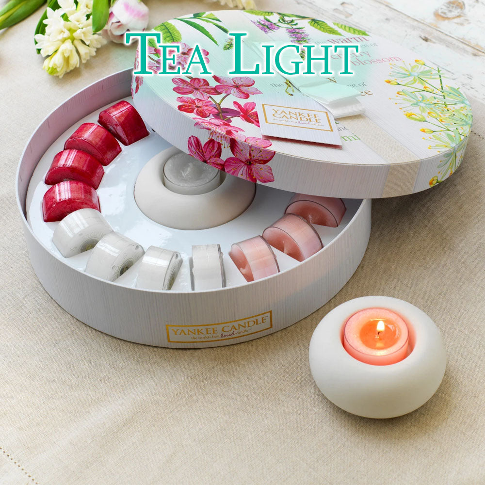 Acquista Candele Light Tea 50 Pack Candele di Tealight Non