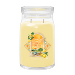 LEMON GELATO -SIGNATURE - Yankee Candle - GIARA GRANDE