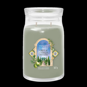 OLIVE & CYPRESS -SIGNATURE - Yankee Candle - GIARA GRANDE