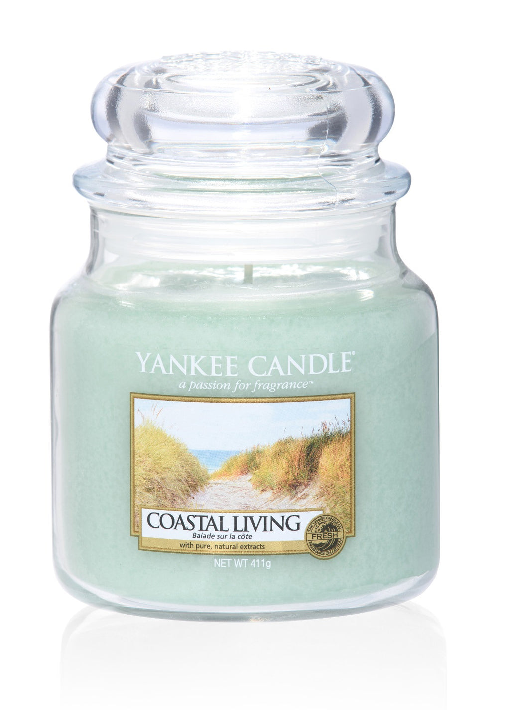 COASTAL LIVING -Yankee Candle- Giara Media