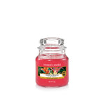 TROPICAL JUNGLE -Yankee Candle- Giara Piccola